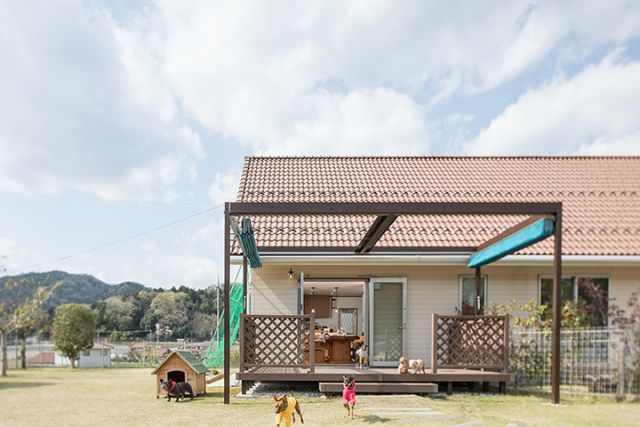 Dog Cafe マーマ 東広島市西条町 注文住宅 広島 東広島 福山で注文住宅を建てるなら山根木材